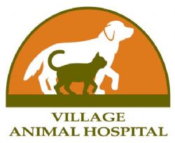Деревенская больница для животных